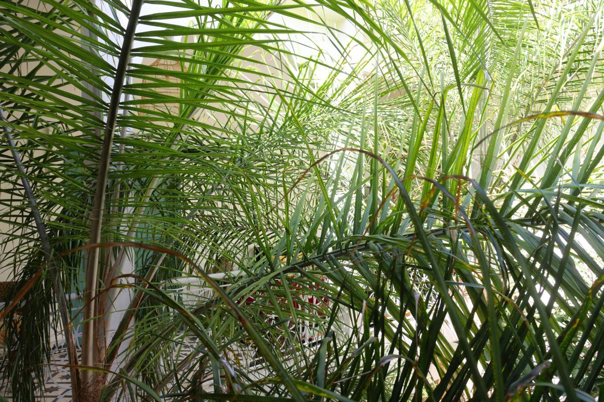 Riad NaaNaa Bed&Breakfat Marrakesh Bagian luar foto